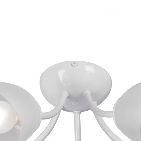 Люстра Vitaluce V3405-0/5PL, 5xE14 макс. 40Вт - фото 2