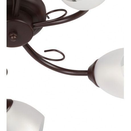 Люстра Vitaluce V3715/5PL,5xE14макс. 40Вт, плафон ПП - фото 4