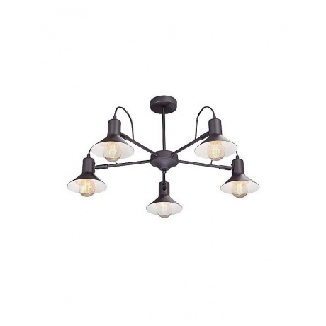 Люстра Vitaluce V4874-1/5PL, 5хE27 макс. 40Вт