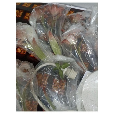 Люстра MW-Light Восторг 1340506 отличное состояние - фото 2