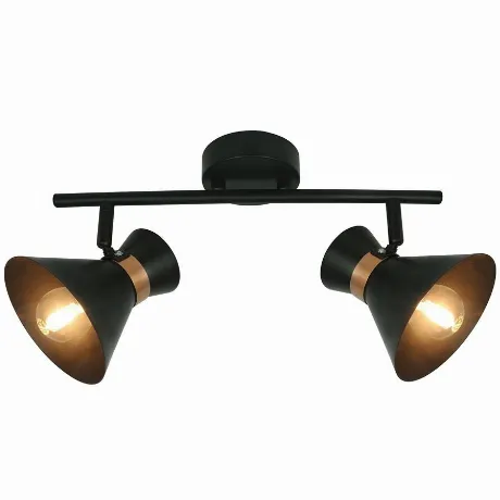 Спот Arte lamp A1406AP-2BK