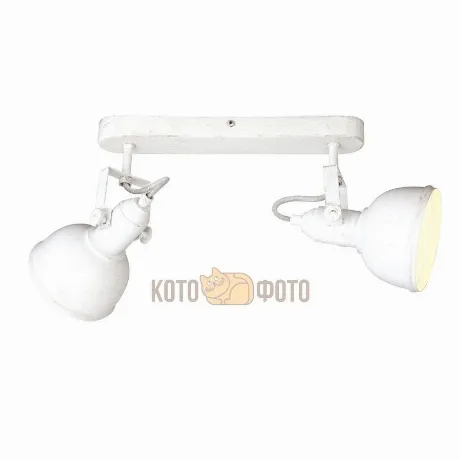 Спот Arte lamp Martin A5213AP-2WG