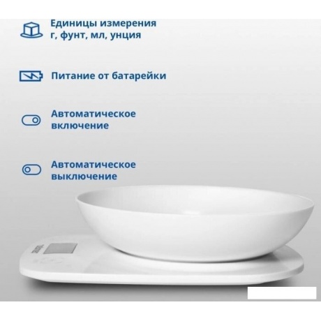 Кухонные весы Zelmer ZKS1460 - фото 3