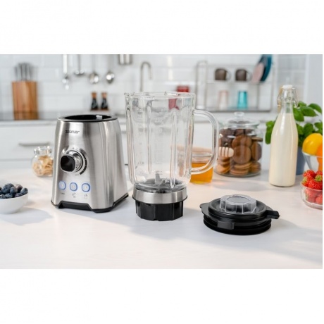 Блендер Zelmer ZSB4799 INOX - фото 5