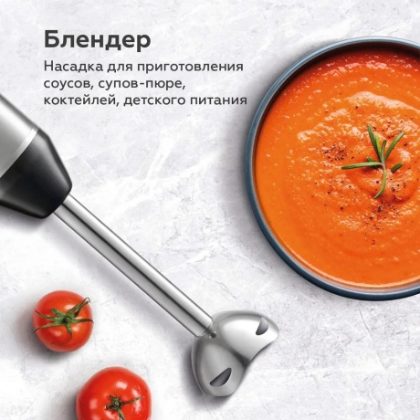 Блендер погружной BQ-HB62PS Стальной-Черный - фото 5