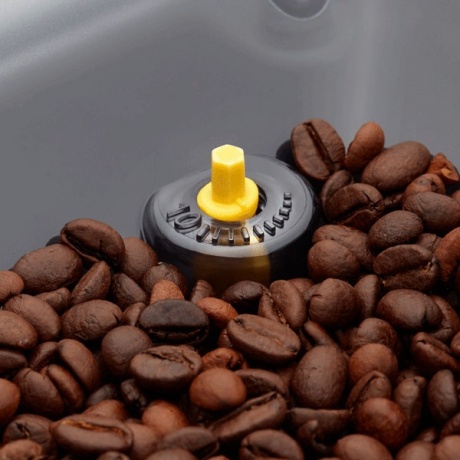 Кофемашина Gaggia Cadorna Style (RI9600/01) - фото 4