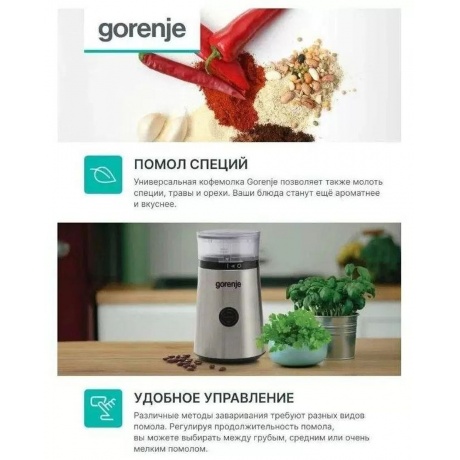 Кофемолка Gorenje SMK150E 150Вт серебристый - фото 3