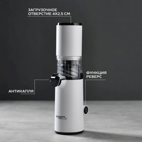 Соковыжималка Scarlett SC-JE50S59 шнековая - фото 18