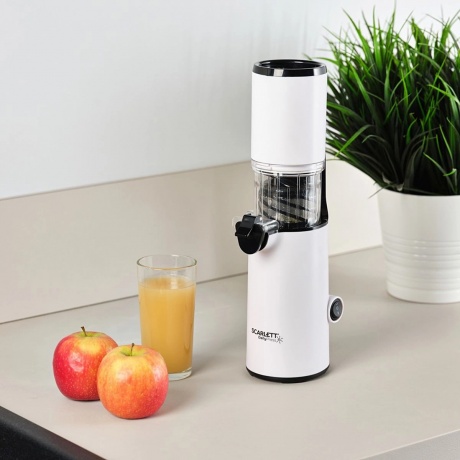 Соковыжималка Scarlett SC-JE50S59 шнековая - фото 24