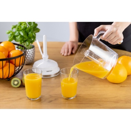 Соковыжималка Zelmer ZJE2800 - фото 7