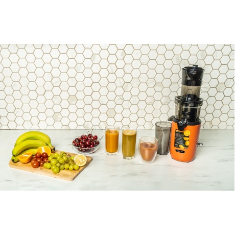 Соковыжималка Garlyn J-300 - фото 12