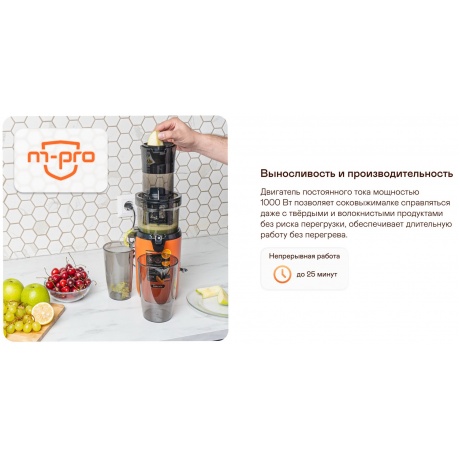 Соковыжималка Garlyn J-300 - фото 13