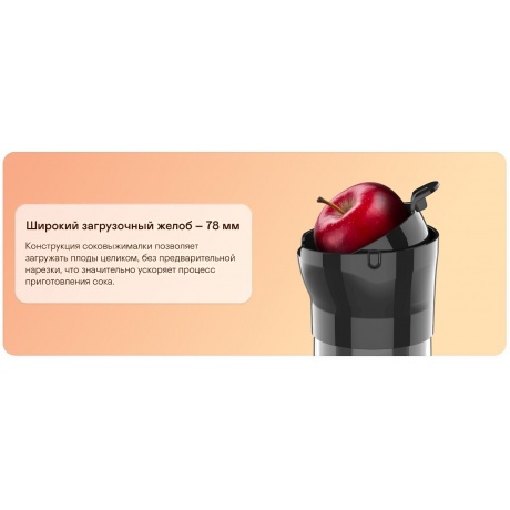 Соковыжималка Garlyn J-300 - фото 15