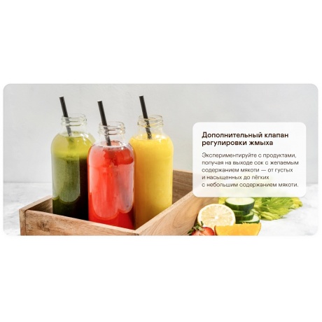 Соковыжималка Garlyn J-300 - фото 21