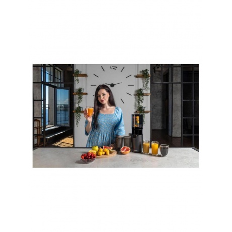 Соковыжималка GARLYN J-400 - фото 7