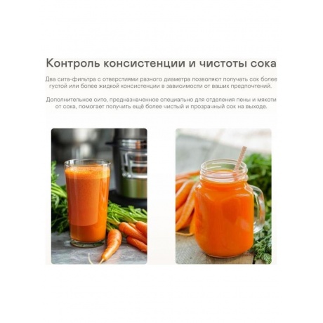 Соковыжималка GARLYN J-650 - фото 15