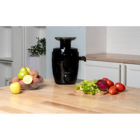 Соковыжималка GARLYN J-150 - фото 11