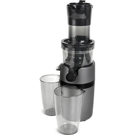 Соковыжималка шнековая BQ J2000 Серый-Черный