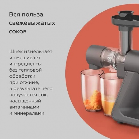 Соковыжималка шнековая BQ J2002 Серый - фото 7