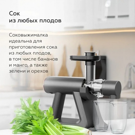 Соковыжималка шнековая BQ J2002 Серый - фото 9