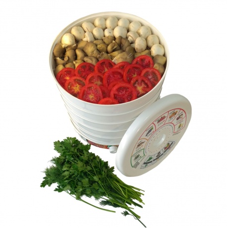 Сушилка для овощей и фруктов Renova DVN31-500/5 - фото 5