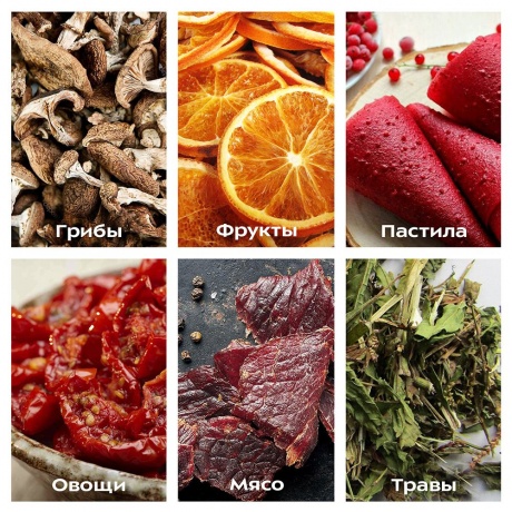 Сушилка для овощей и фруктов Kitfort КТ-1915-2 красная - фото 7