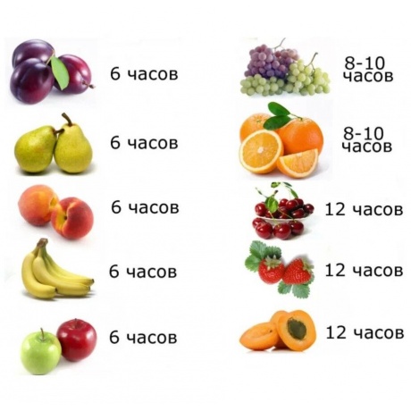 Сушилка для овощей и фруктов Ротор СШ-002-012 - фото 6