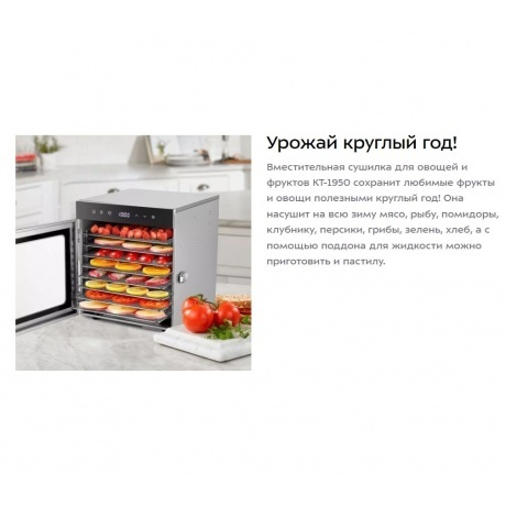Сушилка для овощей и фруктов Kitfort КТ-1950 - фото 12