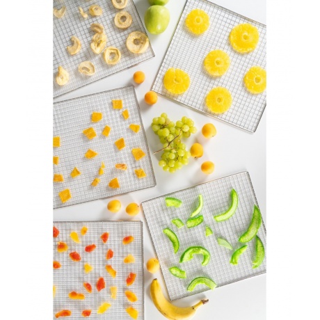 Сушилка GARLYN D-12 Pro - фото 4