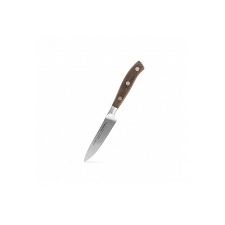 Нож для фруктов и овощей GOURMET 10см ATTRIBUTE KNIFE APK003 - фото 1