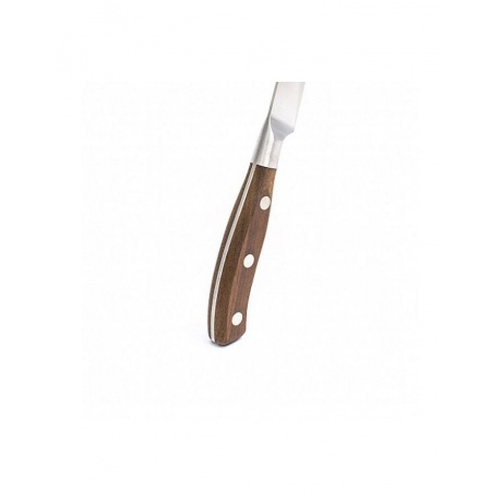 Нож универсальный GOURMET 13см ATTRIBUTE KNIFE APK002 - фото 2