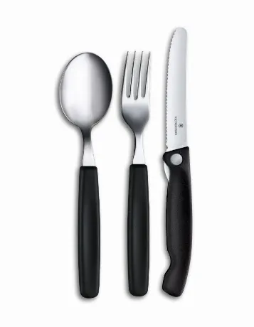 Набор столовых приборов Victorinox Swiss Classic (6.7192.F3) 3пр