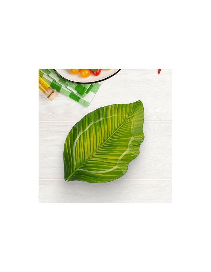 Блюдо ЛИСТ 25см SHELLEY GC2230 - фото 4