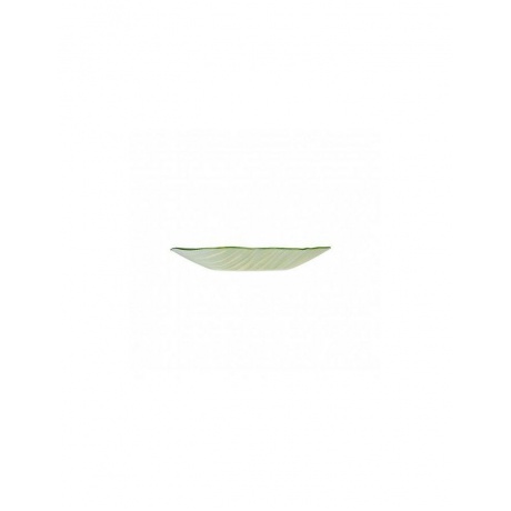 Салатник ЛИСТ 25см SHELLEY GC2233 - фото 3