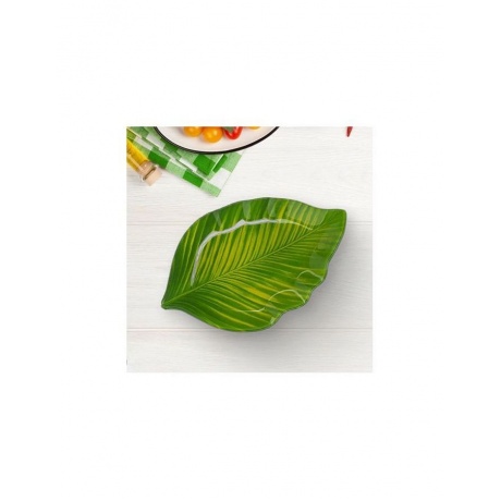 Салатник ЛИСТ 25см SHELLEY GC2233 - фото 4