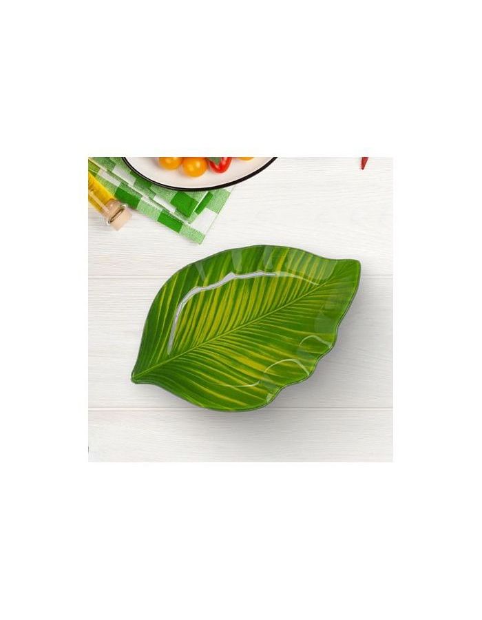 Салатник ЛИСТ 25см SHELLEY GC2233 - фото 4