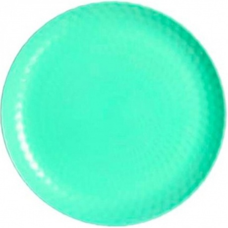 Тарелка обеденная PAMPILLE TURQUOISE  25см LUMINARC Q4649