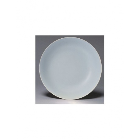 Тарелка суповая SCANDY BLUE 20.5см FIORETTA TDP546 - фото 3