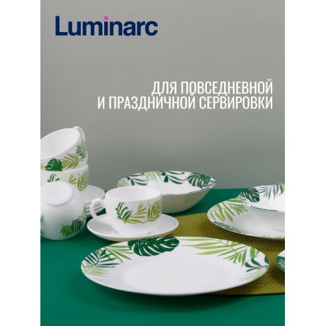 Набор столовый LUMINARC ЭССЕНС ДЖАНГЛ ФИВЕР 30пр - фото 18