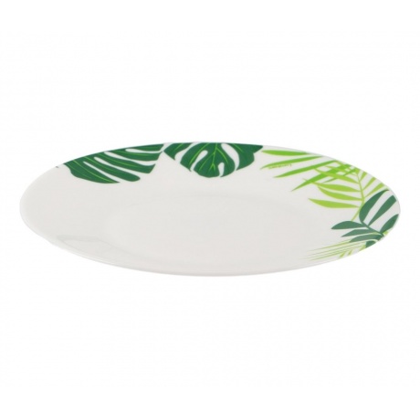 Набор столовый LUMINARC ЭССЕНС ДЖАНГЛ ФИВЕР 30пр - фото 7