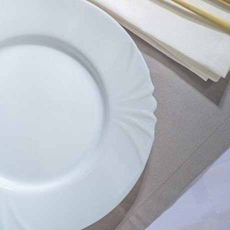 Тарелка обеденная КАДИКС 25см - фото 12