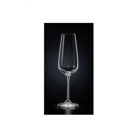 Набор бокалов для шампанского GISELLE 6шт 190мл CRYSTALEX CR190104GIS - фото 5