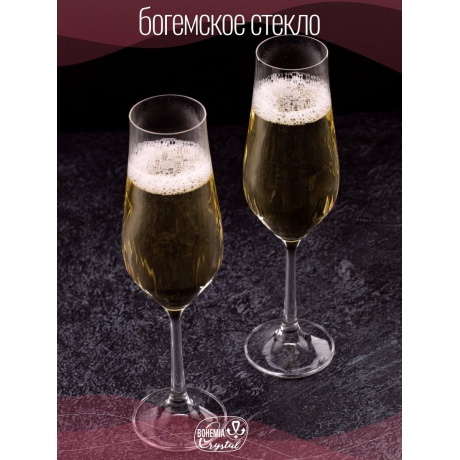 Набор бокалов для шампанского TULIPA OPTIC 6шт 170мл CRYSTALEX CR170104TO - фото 8