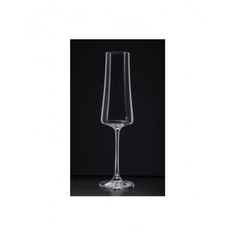 Набор бокалов для шампанского XTRA 6шт 210мл CRYSTALEX CR210104X - фото 6