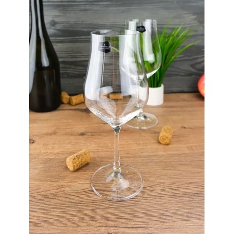 Набор бокалов для вина CRYSTALEX TULIPA 6шт 450мл - фото 10