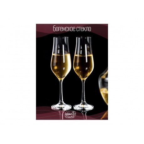 Набор бокалов для шампанского CRYSTALEX TULIPA 6шт 170мл - фото 6