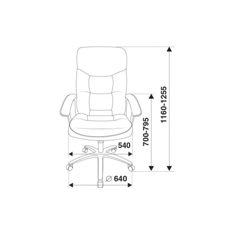 Кресло руководителя Бюрократ T-9908AXSN-AB черный кожа - фото 1