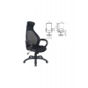 Компьютерное кресло Brabix Premium Genesis EX-517 (пластик черны...
