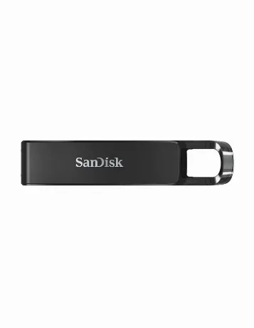 Флешка SanDisk 256Gb Type-C (SDCZ460-256G-G46) USB3.1 черный