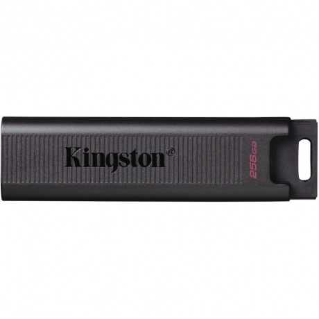 Флешка Kingston DataTraveler Max 256Gb USB 3.2 Gen2 DTMAX/256GB - фото 1